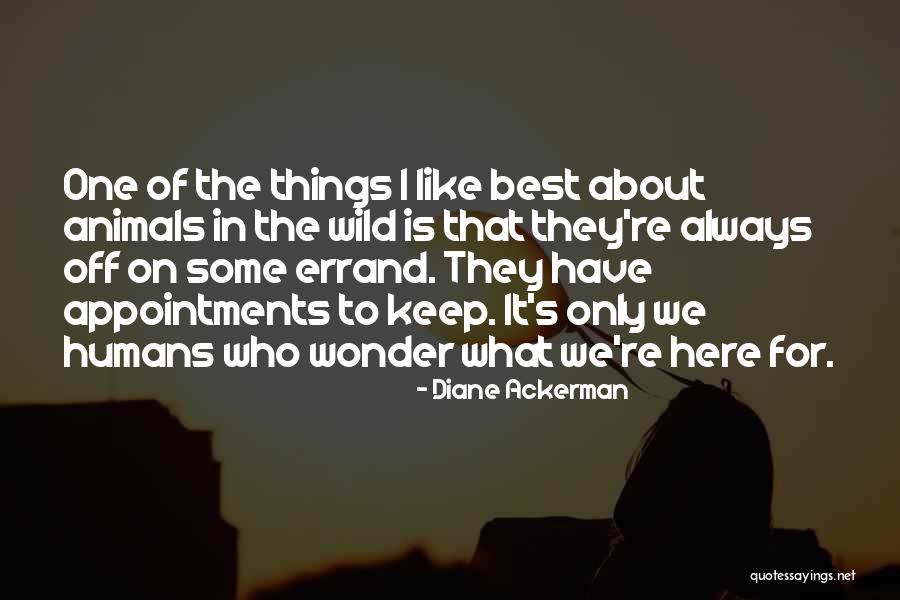 Errand Quotes By Diane Ackerman Errand Quotes By Diane Ackerman