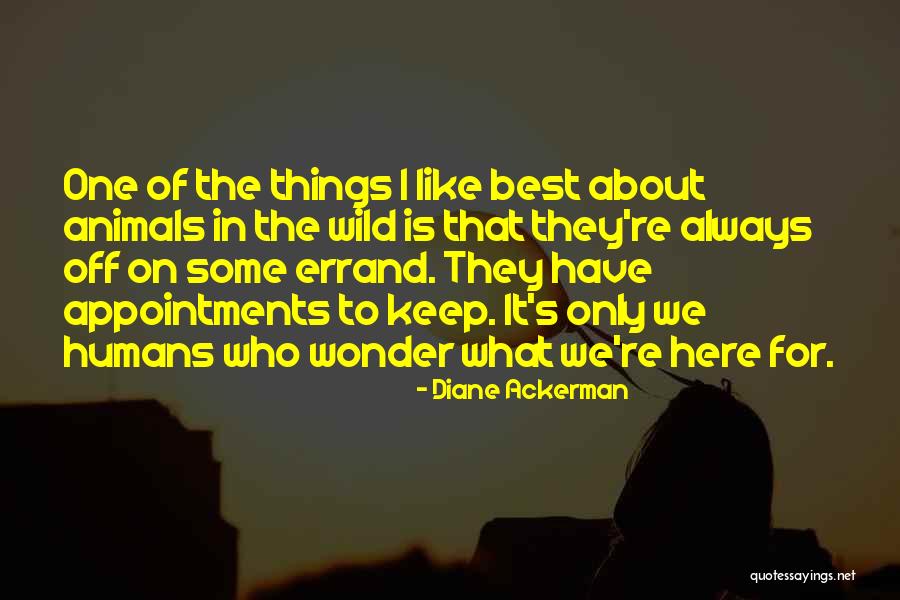 Errands To Do Quotes By Diane Ackerman Errands To Do Quotes By Diane Ackerman