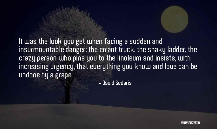 Errant Love Quotes By David Sedaris Errant Love Quotes By David Sedaris