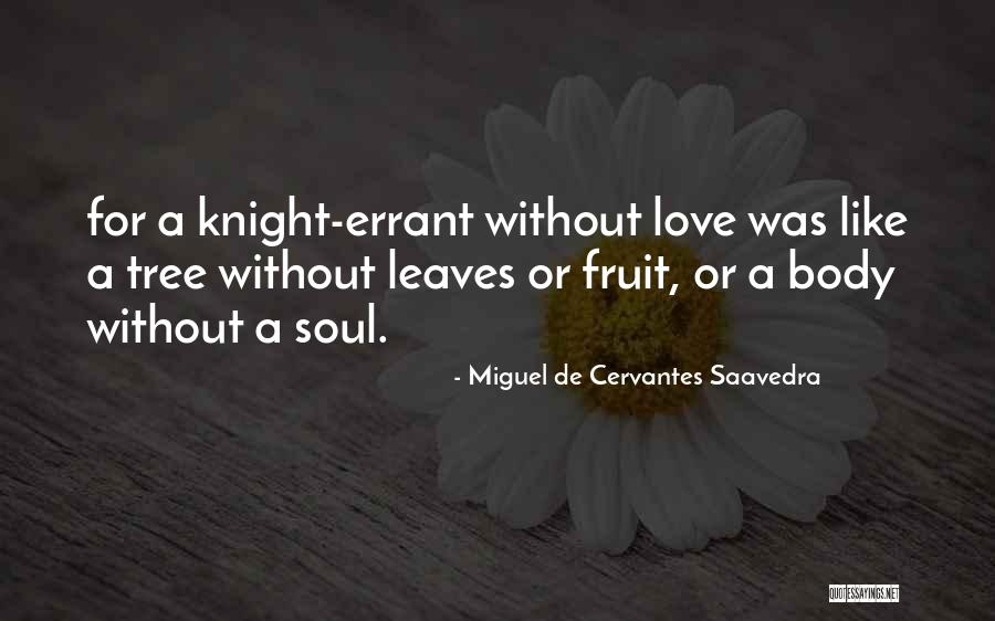 Errant Love Quotes By Miguel De Cervantes Saavedra Errant Love Quotes By Miguel De Cervantes Saavedra