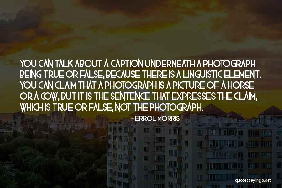 Errol Morris Quotes 188666 Errol Morris Quotes 188666