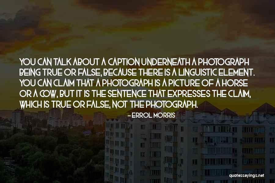 Errol Morris Quotes 188666