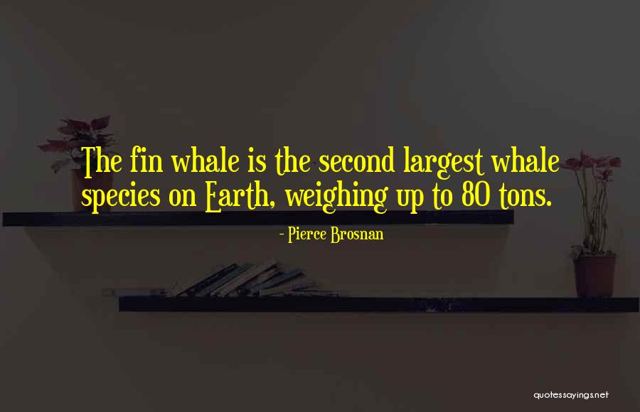 Erson Cam Quotes By Pierce Brosnan Erson Cam Quotes By Pierce Brosnan