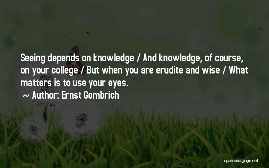 Erudite Quotes By Ernst Gombrich