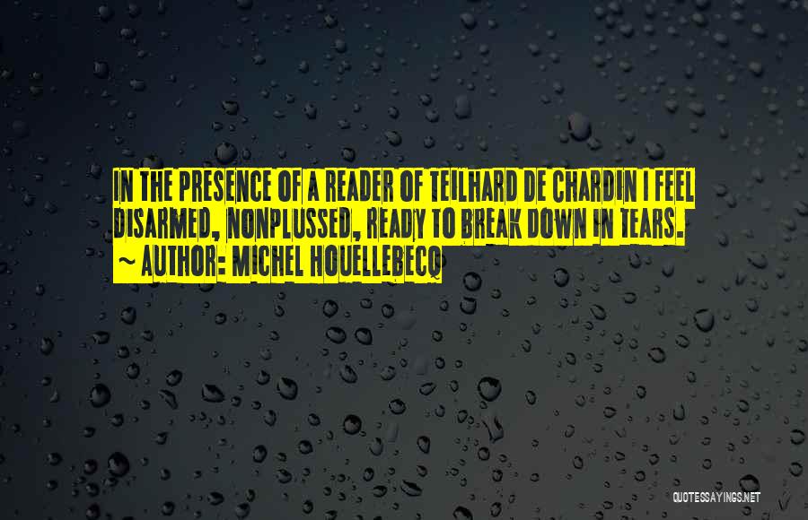 Erudite Quotes By Michel Houellebecq