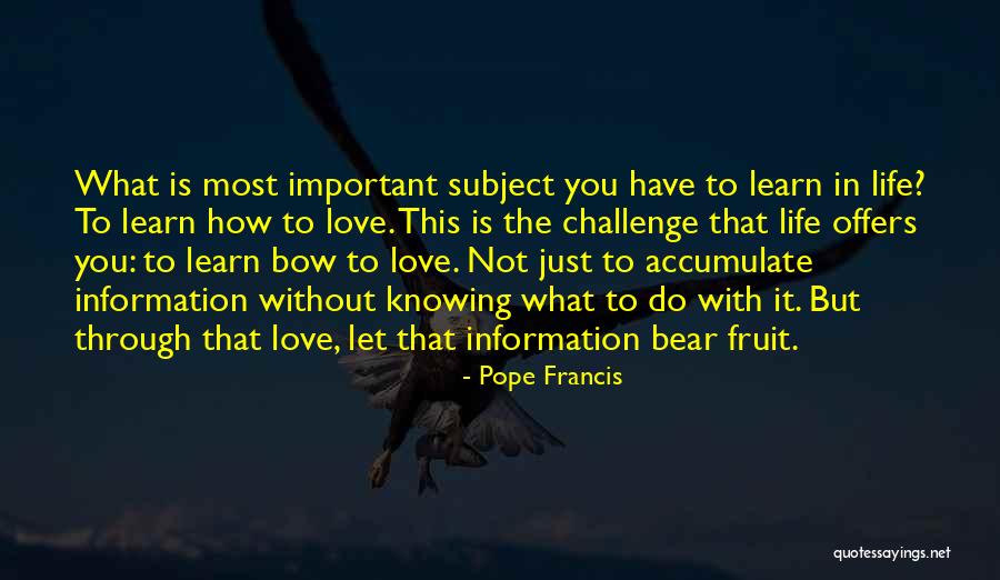 Eruptive Milia Quotes By Pope Francis Eruptive Milia Quotes By Pope Francis
