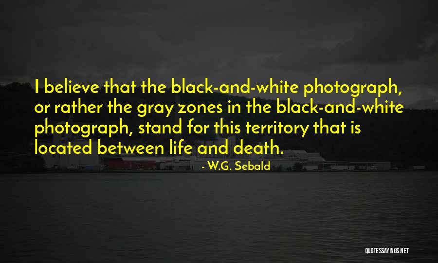 Ervand Kochar Quotes By W.G. Sebald