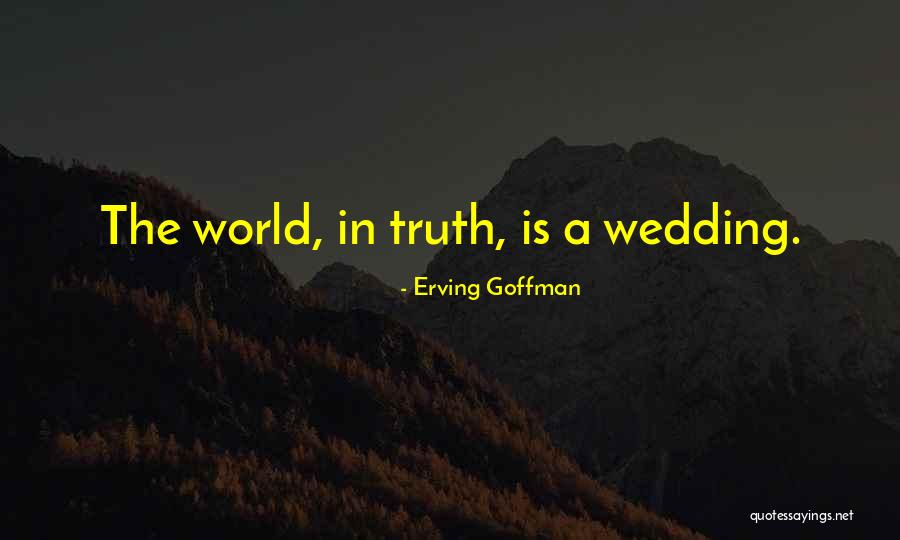 Erving Goffman Quotes 2057036