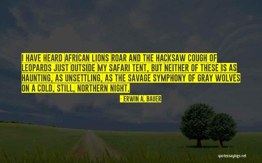 Erwin A. Bauer Quotes 1936198