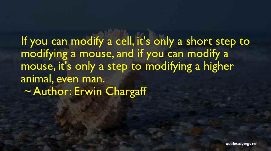 Erwin Chargaff Quotes 1294252