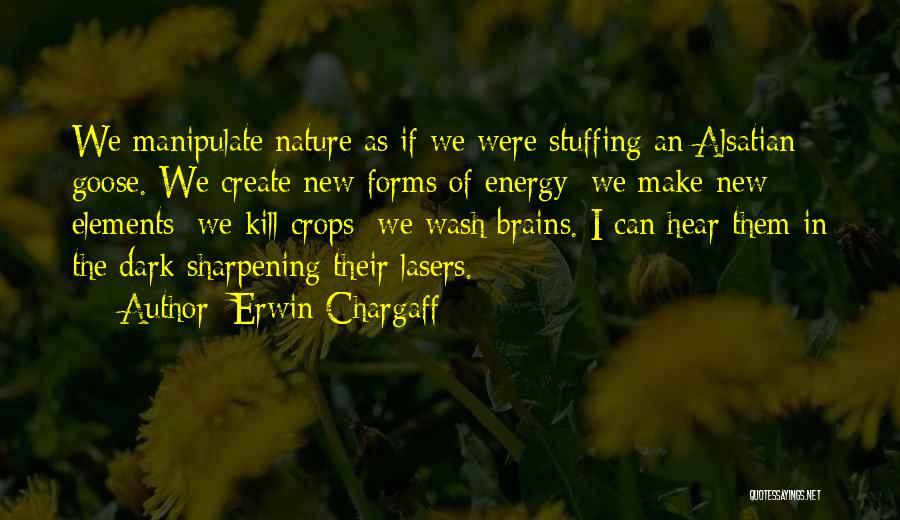 Erwin Chargaff Quotes 1995100