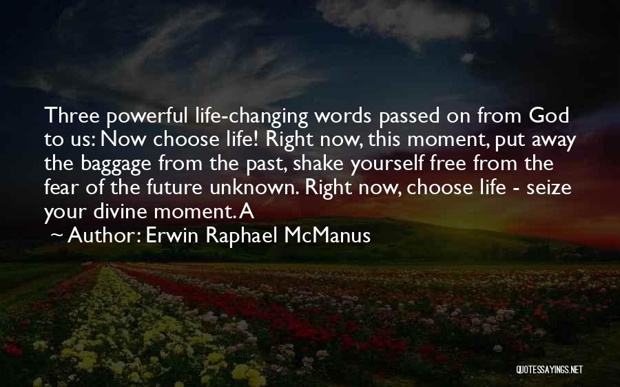 Erwin Raphael McManus Quotes 105043