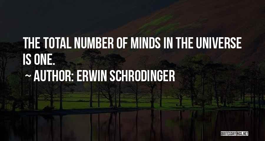 Erwin Schrodinger Quotes 1052241