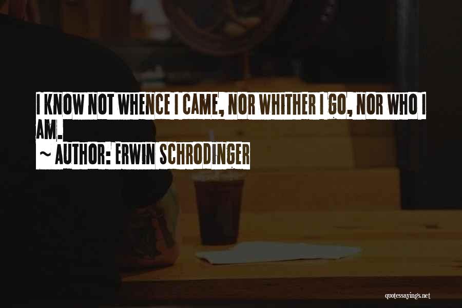 Erwin Schrodinger Quotes 1082741