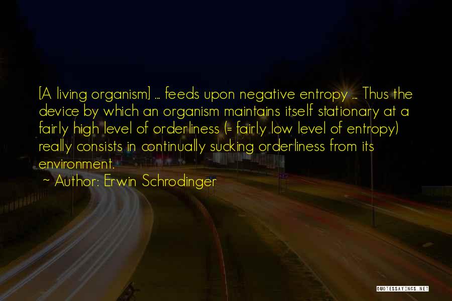 Erwin Schrodinger Quotes 1094718