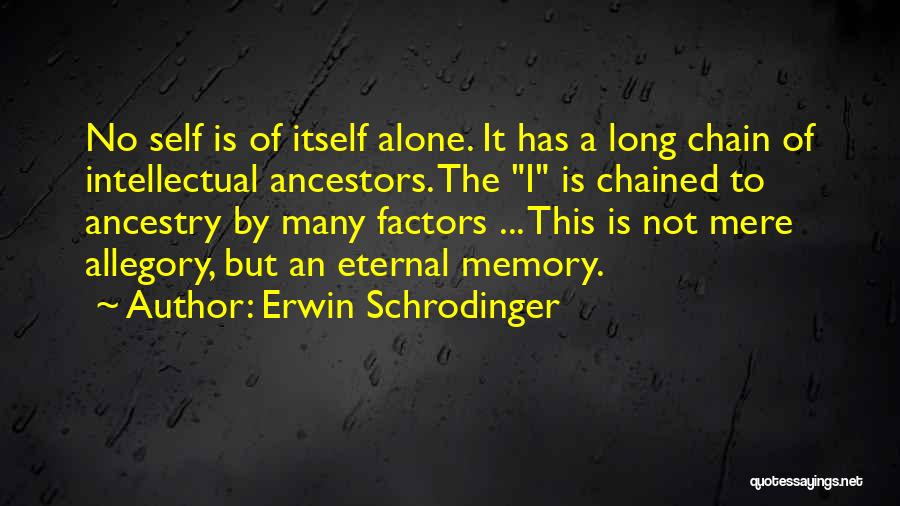 Erwin Schrodinger Quotes 1114898