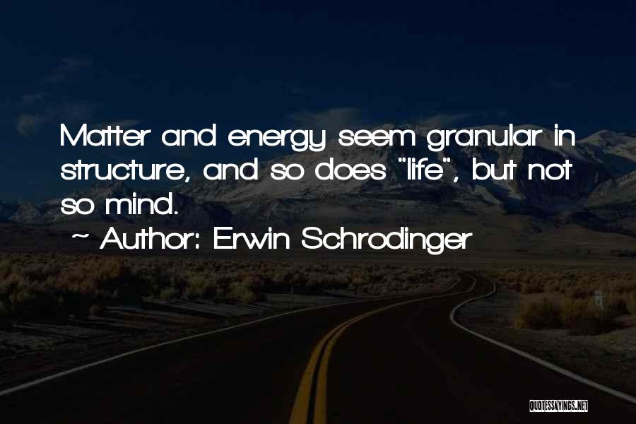 Erwin Schrodinger Quotes 1125257