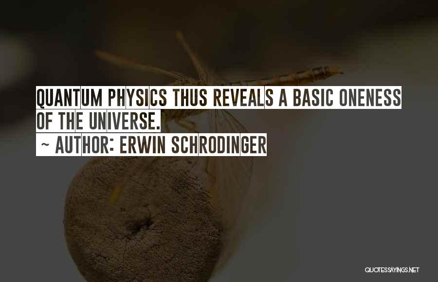 Erwin Schrodinger Quotes 1179259