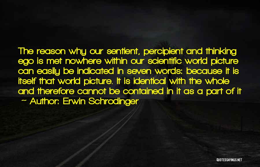 Erwin Schrodinger Quotes 1285230