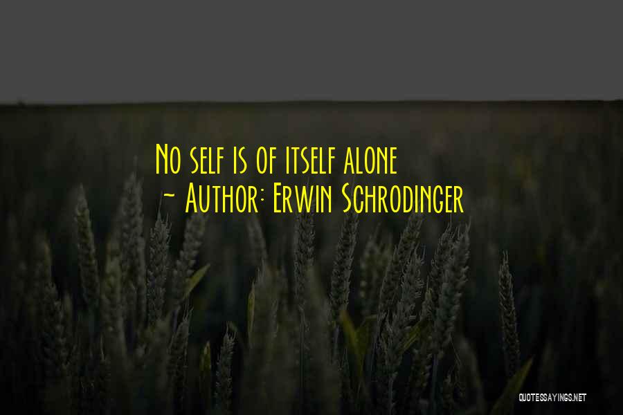 Erwin Schrodinger Quotes 1294066