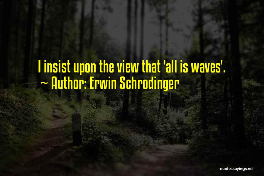 Erwin Schrodinger Quotes 1454480