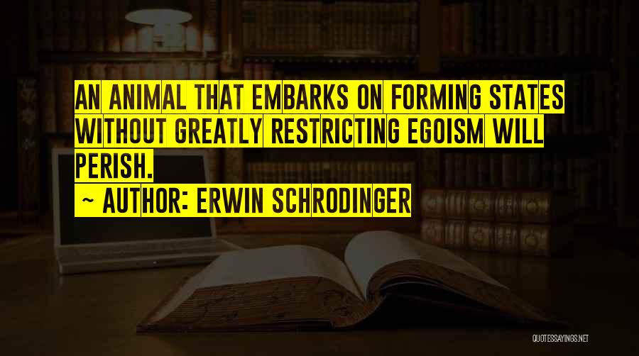 Erwin Schrodinger Quotes 1521010