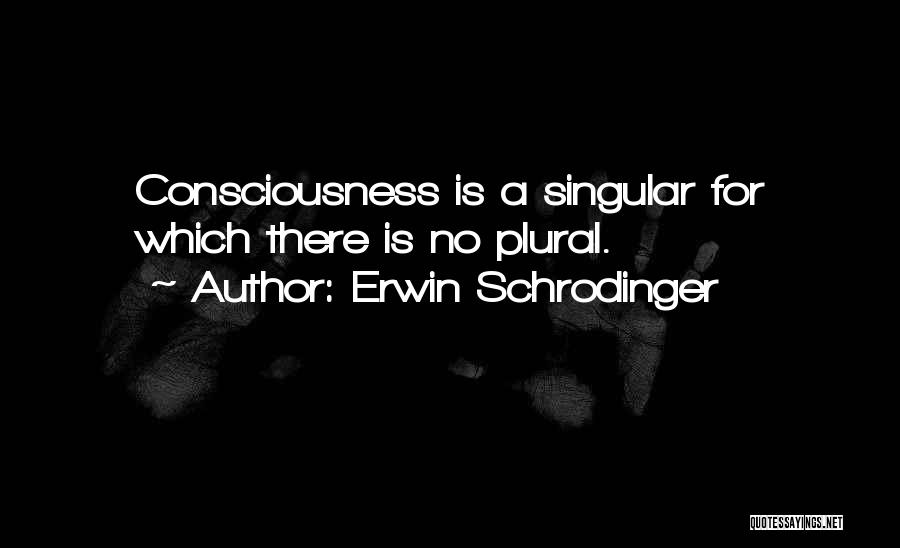 Erwin Schrodinger Quotes 1542659