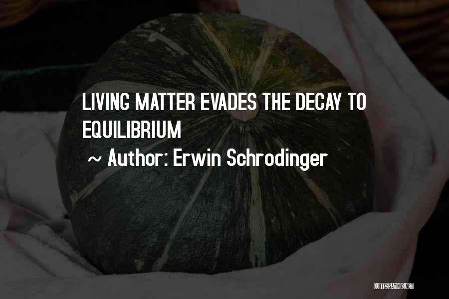 Erwin Schrodinger Quotes 1606993