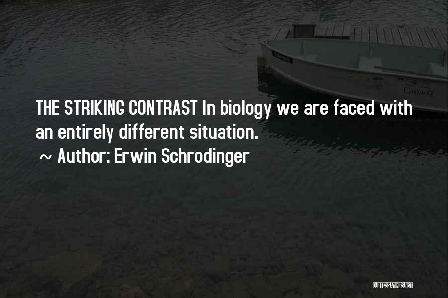 Erwin Schrodinger Quotes 1620735 Erwin Schrodinger Quotes 1620735