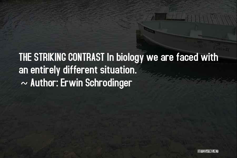 Erwin Schrodinger Quotes 1620735