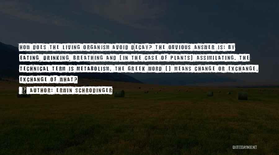 Erwin Schrodinger Quotes 1654435 Erwin Schrodinger Quotes 1654435