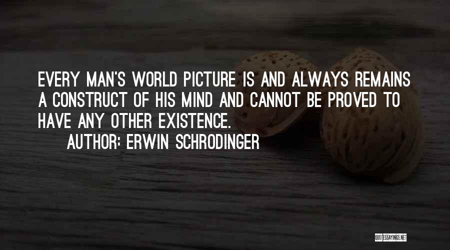 Erwin Schrodinger Quotes 1675531