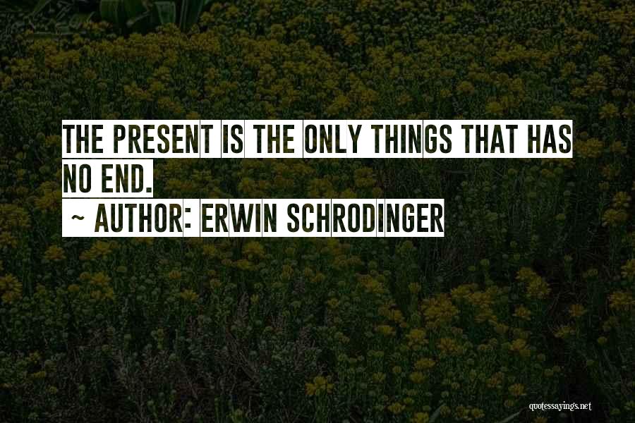 Erwin Schrodinger Quotes 2113561