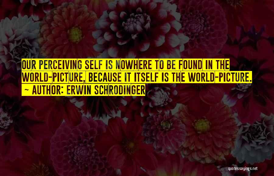 Erwin Schrodinger Quotes 225398