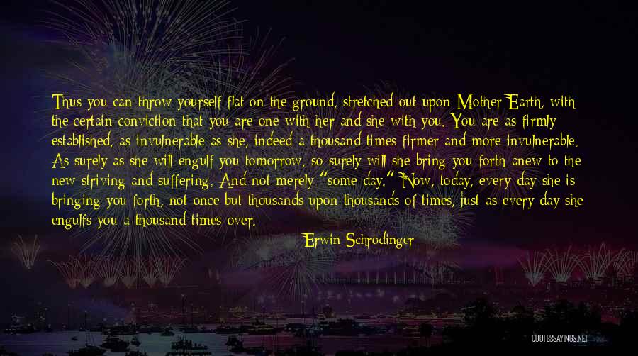 Erwin Schrodinger Quotes 469086 Erwin Schrodinger Quotes 469086