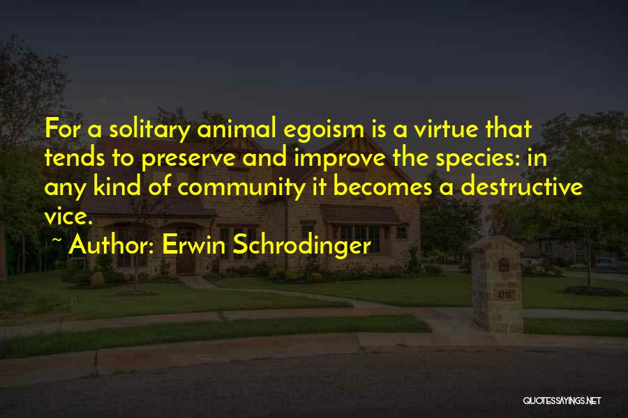 Erwin Schrodinger Quotes 749230