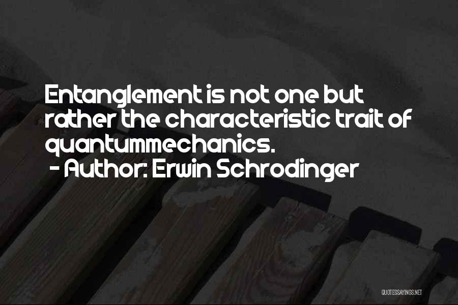 Erwin Schrodinger Quotes 833473