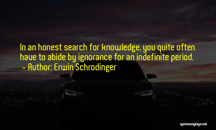 Erwin Schrodinger Quotes 924208