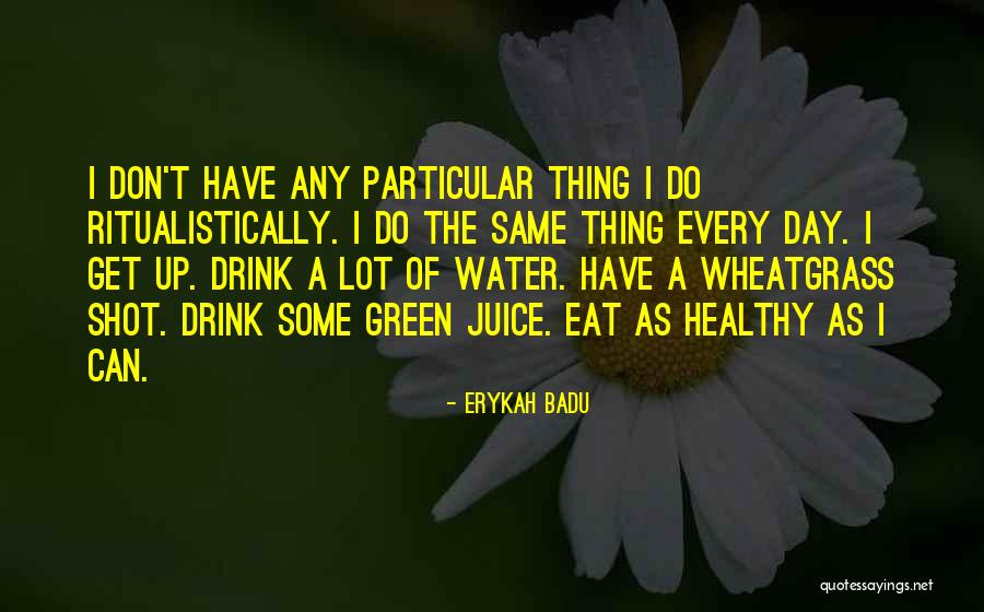 Erykah Badu Quotes 337471