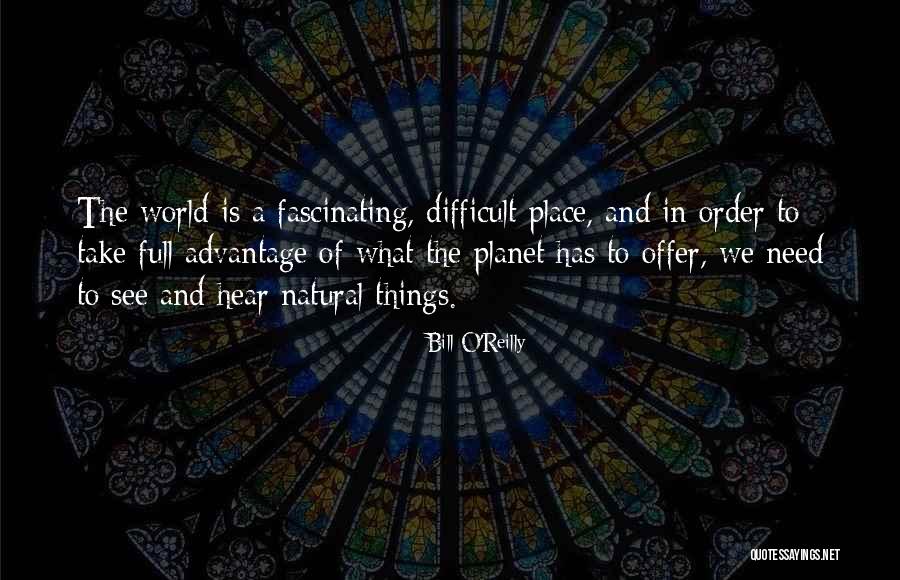 Erzieherin Quotes By Bill O'Reilly Erzieherin Quotes By Bill O'Reilly