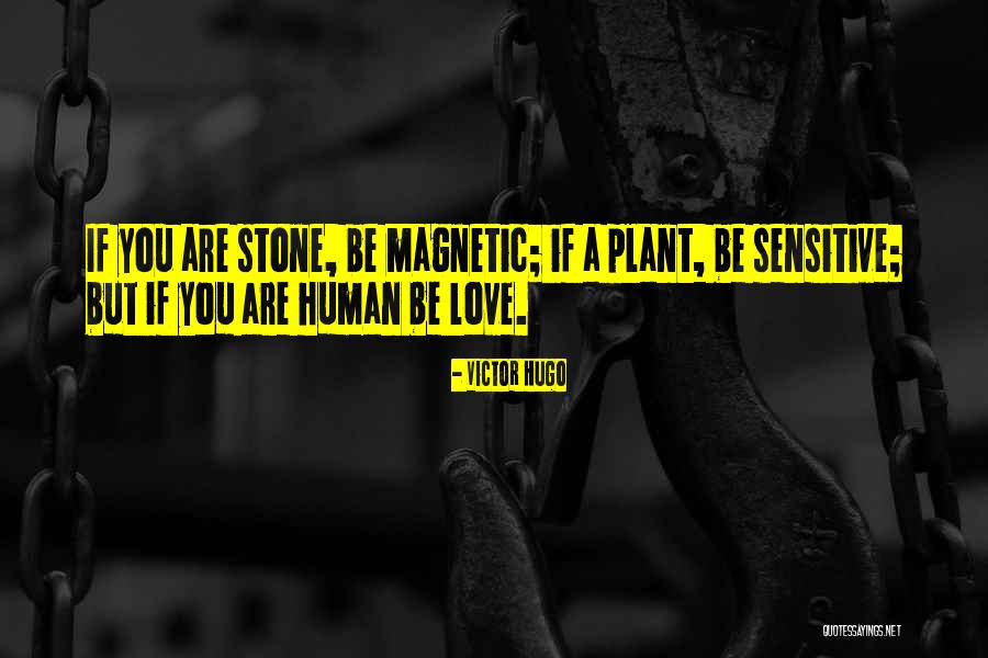 Erzulie Veve Quotes By Victor Hugo Erzulie Veve Quotes By Victor Hugo