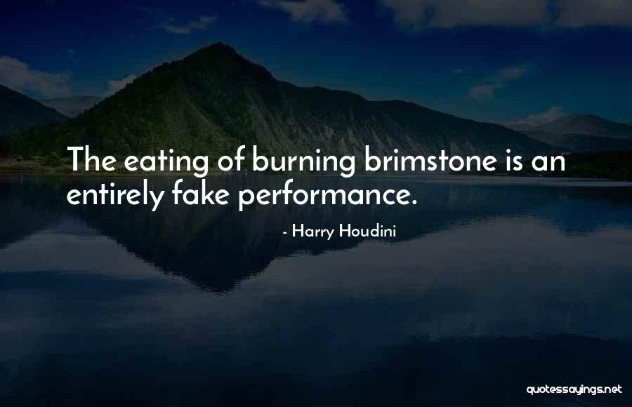 Esbozando Significado Quotes By Harry Houdini Esbozando Significado Quotes By Harry Houdini