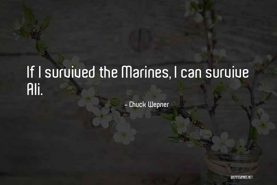 Escalera Quotes By Chuck Wepner Escalera Quotes By Chuck Wepner
