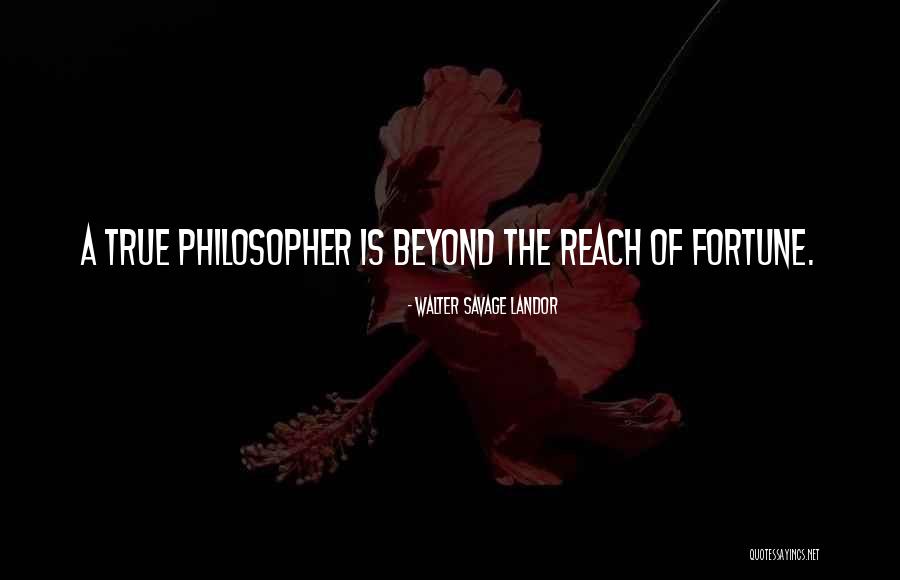Escandalosos Bebes Quotes By Walter Savage Landor Escandalosos Bebes Quotes By Walter Savage Landor