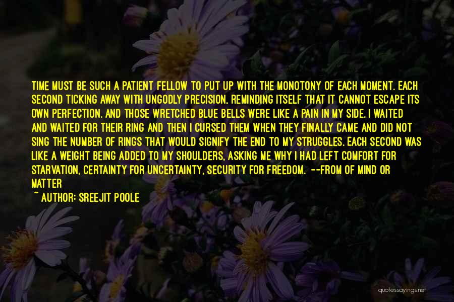 Escape And Freedom Quotes By Sreejit Poole