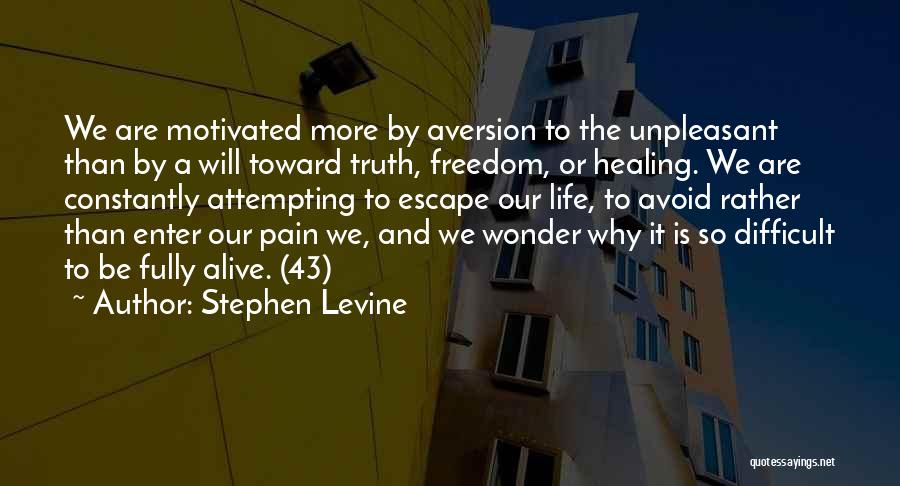 Escape And Freedom Quotes By Stephen Levine