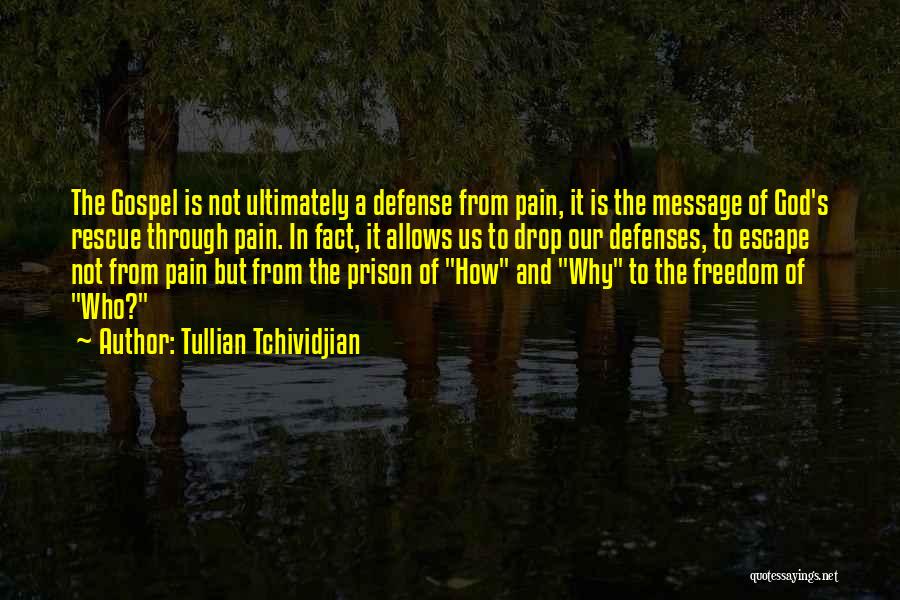 Escape And Freedom Quotes By Tullian Tchividjian