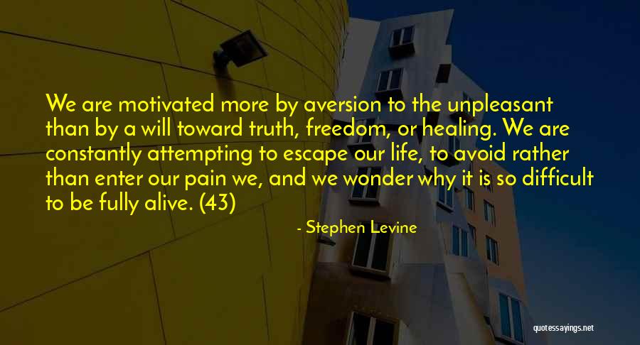 Escape Into Living Quotes By Stephen Levine Escape Into Living Quotes By Stephen Levine
