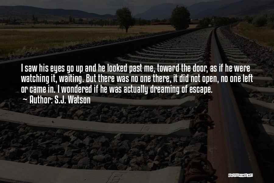 Escape The Past Quotes By S.J. Watson