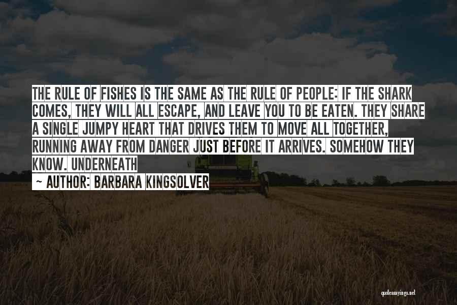 Escape The Single Quotes By Barbara Kingsolver
